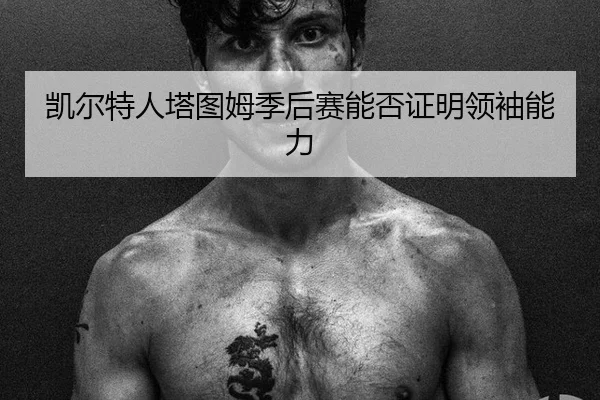 kai-er-te-ren-ta-tu-mu-ji-hou-sai-neng-fou-zheng-ming-ling-xiu-neng-li-2-151.jpg